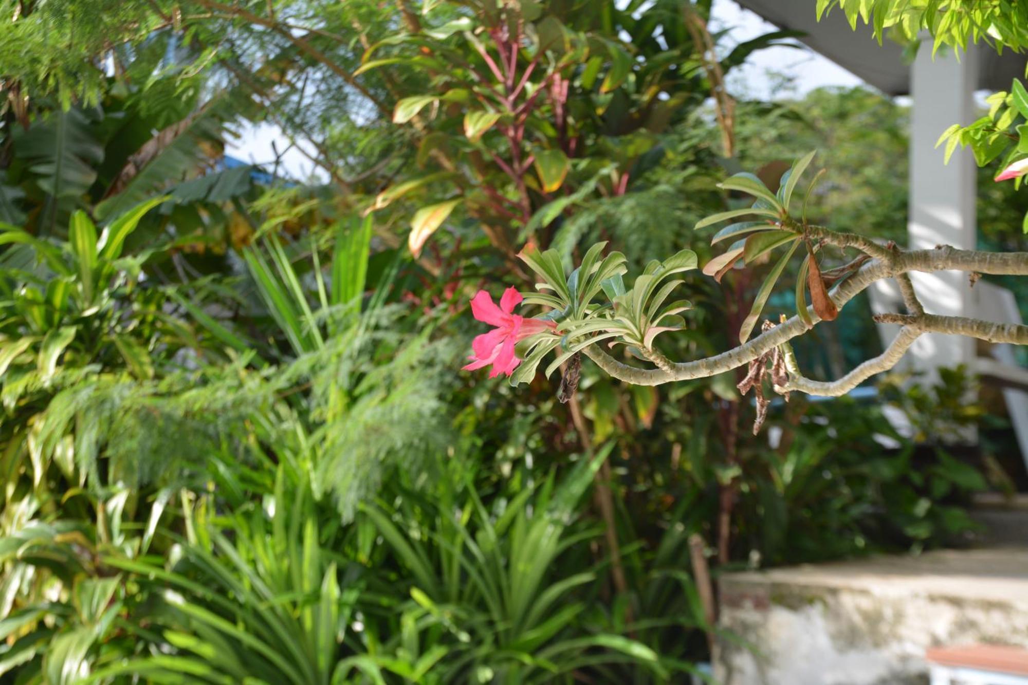 Baan Suan Villa 1 Patong Kültér fotó
